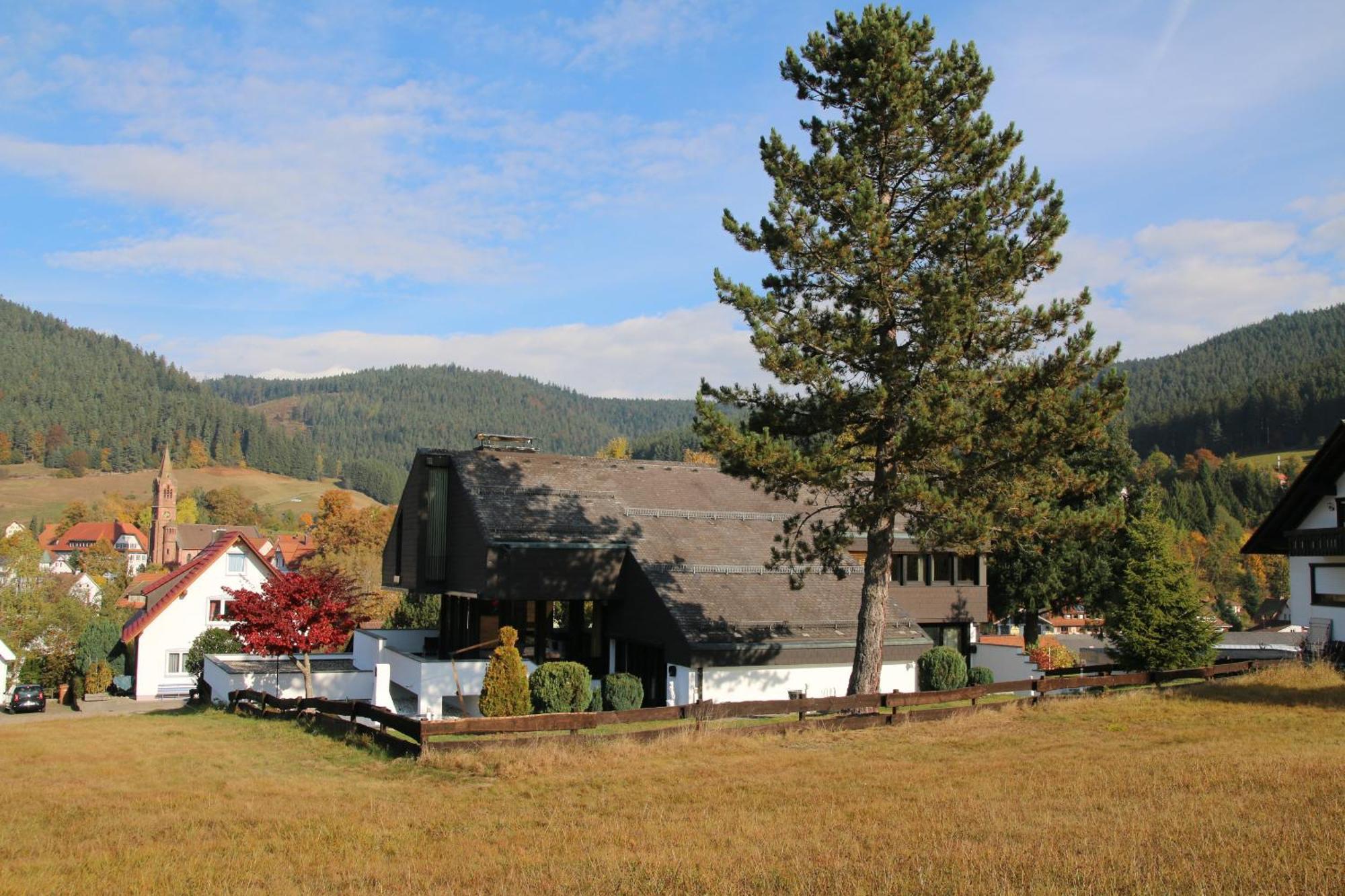 Luxus-Landhaus Im Schwarzwald/Baiersbronn Mit Pool Екстериор снимка