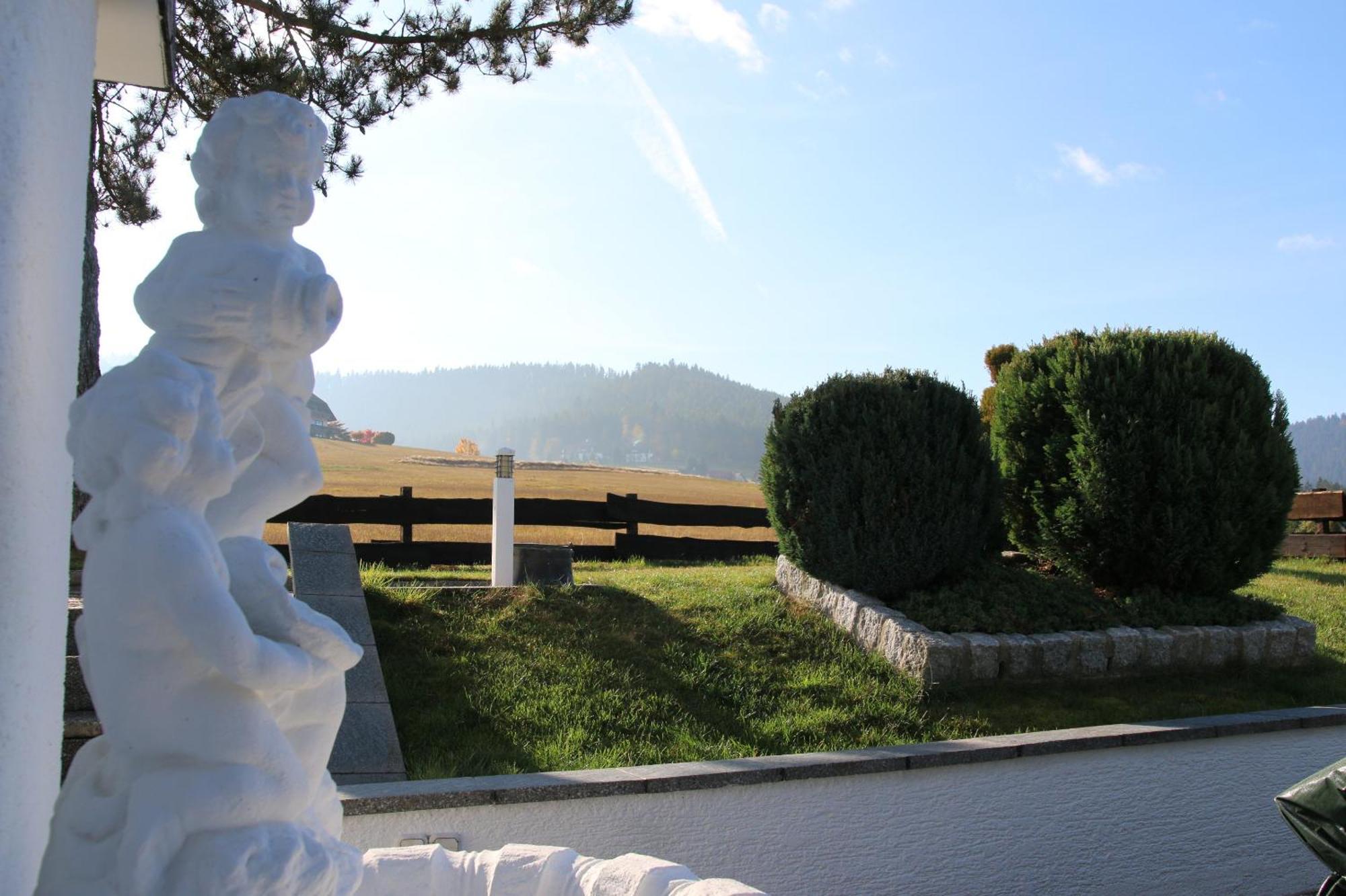 Luxus-Landhaus Im Schwarzwald/Baiersbronn Mit Pool Екстериор снимка